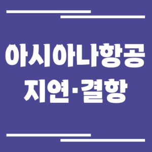 Read more about the article 아시아나항공 지연·결항 시 대처법, 환불·보상은?