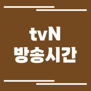 Read more about the article tvN 티비앤 채널 방송시간 확인하기