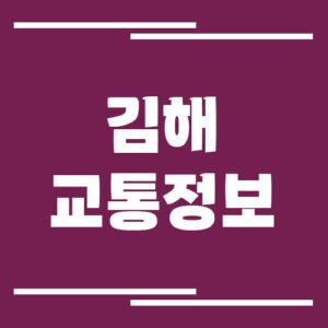 Read more about the article 김해 실시간 교통상황 및 정보