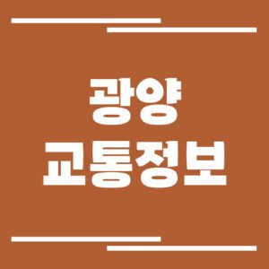 Read more about the article 광양 실시간 교통상황 및 정보 보기