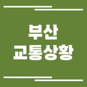 Read more about the article 부산 실시간 교통상황 및 정보