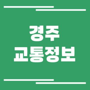 Read more about the article 경주 실시간 교통상황 및 정보 안내