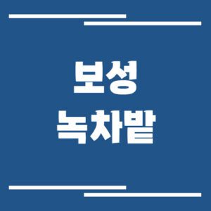 Read more about the article 보성 녹차밭 입장료 운영시간 정보