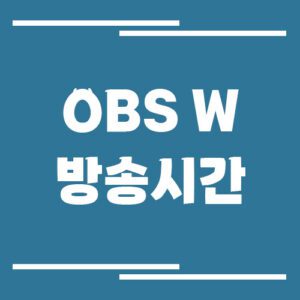 Read more about the article OBS W 방송시간 조회