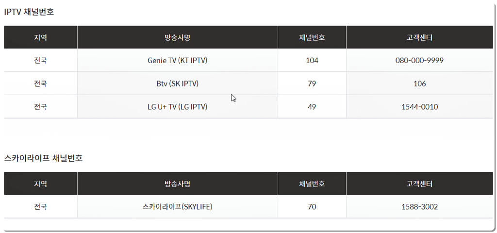 채널번호