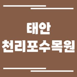 Read more about the article 태안 천리포수목원 입장료, 운영시간 알아보기