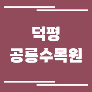 Read more about the article 덕평공룡수목원 입장료, 운영시간, 위치