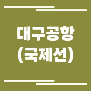 Read more about the article 대구공항 국제선 비행기 시간표 조회
