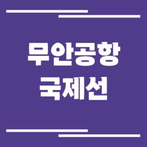 Read more about the article 무안공항 국제선 비행기 시간표 조회 링크