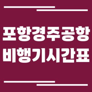Read more about the article 포항경주공항 국내선 비행기 시간표 조회 방법
