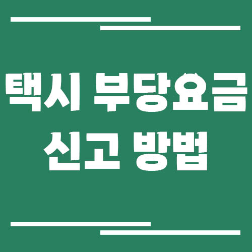 택시 부당요금 신고 방법과 처리 절차
