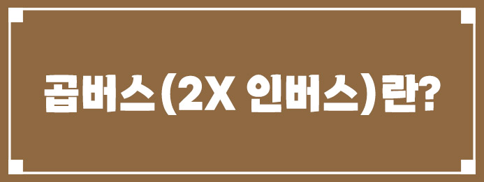 곱버스(2X 인버스)란 무엇일까