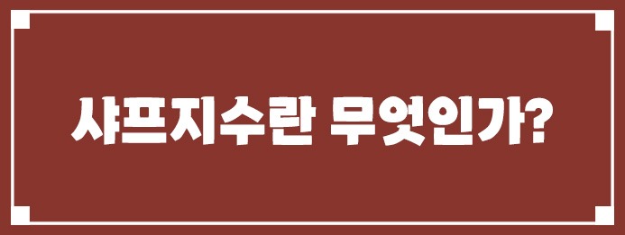 샤프지수란 무엇인가?