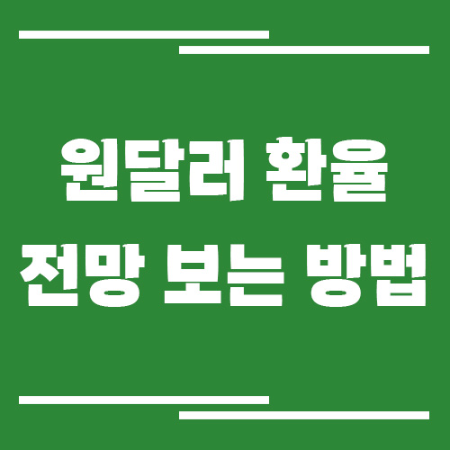 원달러 환율 전망 보는 방법