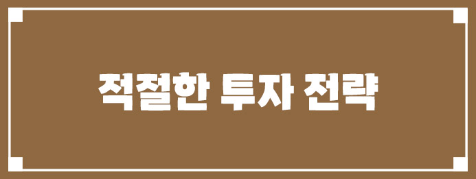 적절한 투자 전략