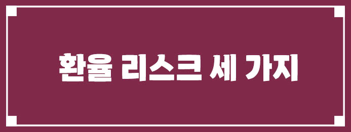 환율 리스크 세 가지